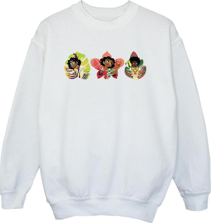 Disney Encanto Family Line Sweatshirt Jungen