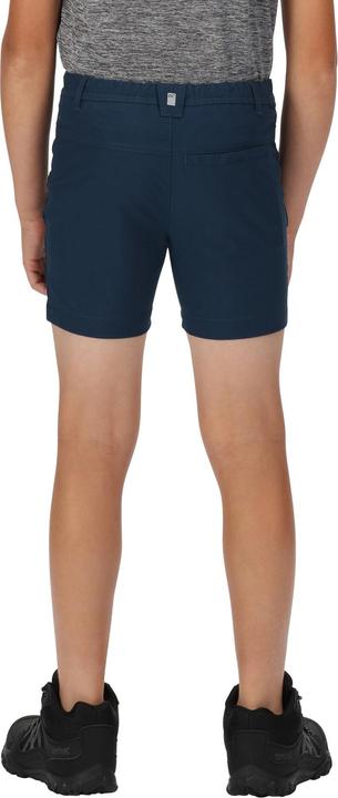 Actual product image Regatta Highton Shorts (146)