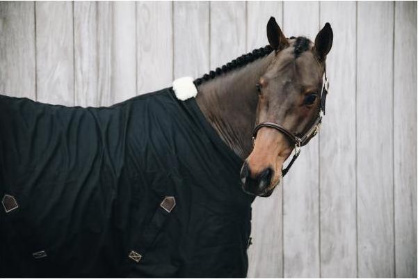Immagine prodotto Kentucky Horsewear Lenzuolo di cotone (155 cm)