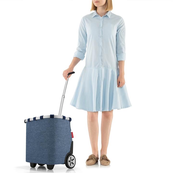 Actual product image reisenthel Carrycruiser