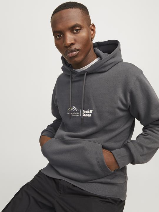 Image du produit Jack & Jones Jcolima Logo Sweat Hood Bfln (S)