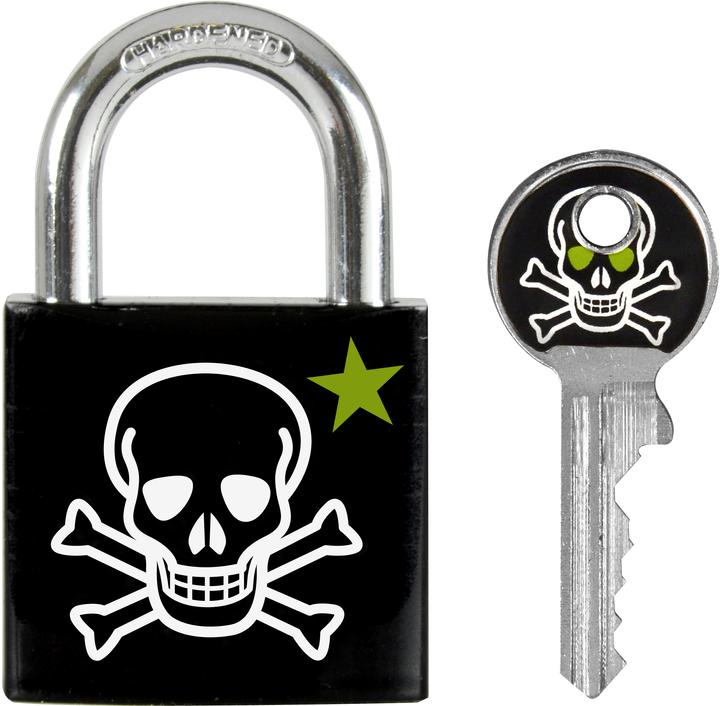Actual product image Master Lock Skull
