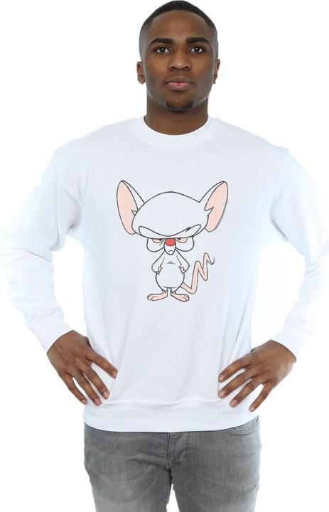 Image du produit Universal Textiles - Sweat THE BRAIN CLASSIC POSE - Homme (4XL)
