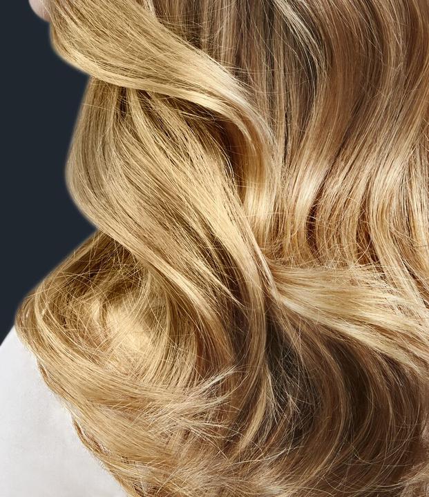 Actual product image Rowenta Pro Expert CV8830