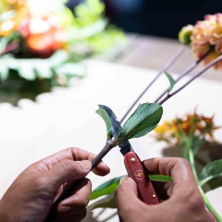 Produktbild Victorinox Blumenmesser (5.50 cm)