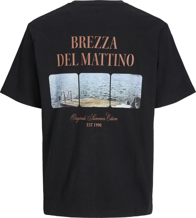 Immagine prodotto Jack & Jones Jorhydra Photo Tee Ss Crew Neck (XXL)