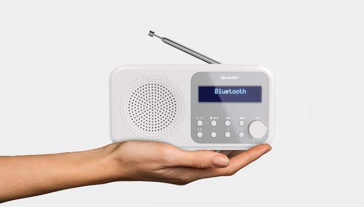 Immagine prodotto Sharp DR-P420 (DAB, FM, Bluetooth)