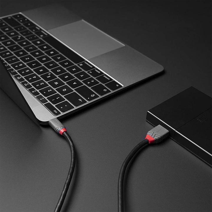 Produktbild Lindy USB 3.2 Typ C an Micro-B Kabel, Anthra Line (2 m)