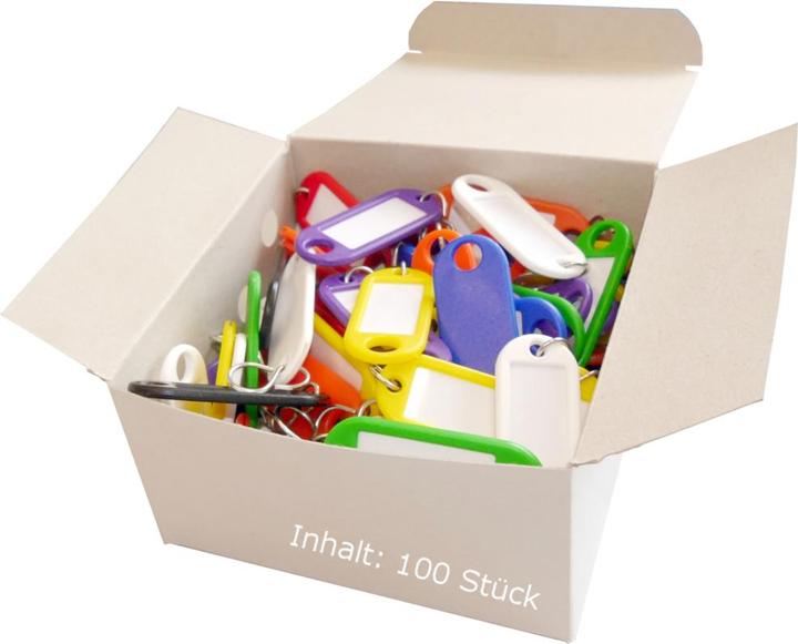 Actual product image Wedo Keychain, 100 pcs.