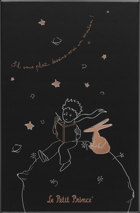 Produktbild Moleskine Der kleine Prinz (130 x 210 mm, Liniert, Harter Einband)