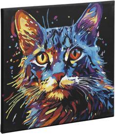 Produktbild Grafix Malen nach Zahlen Schwarze Leinwand Katze, 30x30cm