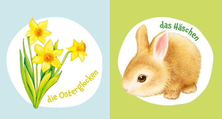 Image du produit Baby Pixi (incassable) 147 : Mon livre de printemps préféré (Allemand)