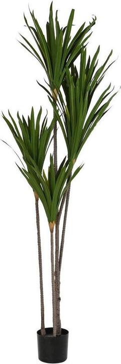 DKD Home Decor Decorative Plant (80 x 80 x 180 cm) (180 cm)
