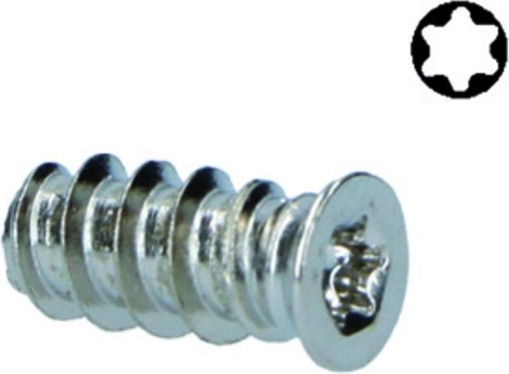 Werkstarck Vis de fixation pour plaques de montage (1000 Vis par pièce)
