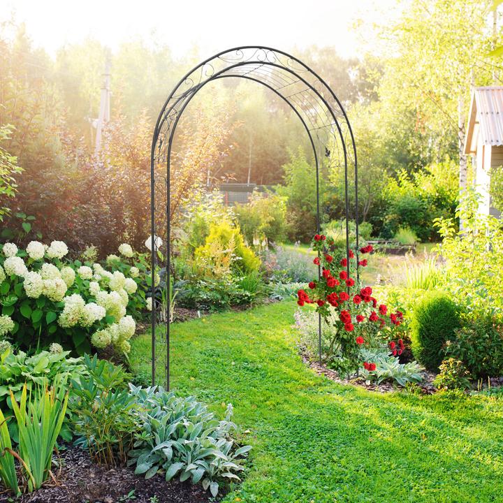 Actual product image Relaxdays Rose arch (36.50 cm, 144 cm)