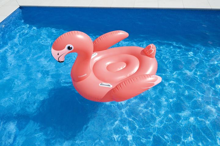 Image du produit Bestway Bouée à chevaucher flamant rose Flamenco pour adultes 1,68 m x 1,20 m