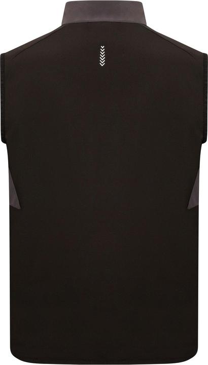 Actual product image Regatta Sequel Gilet (L)