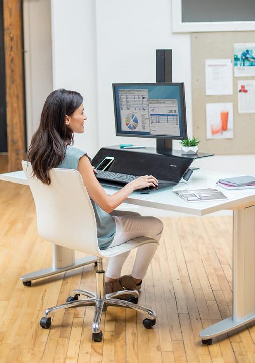 Actual product image Fellowes Lotus VE