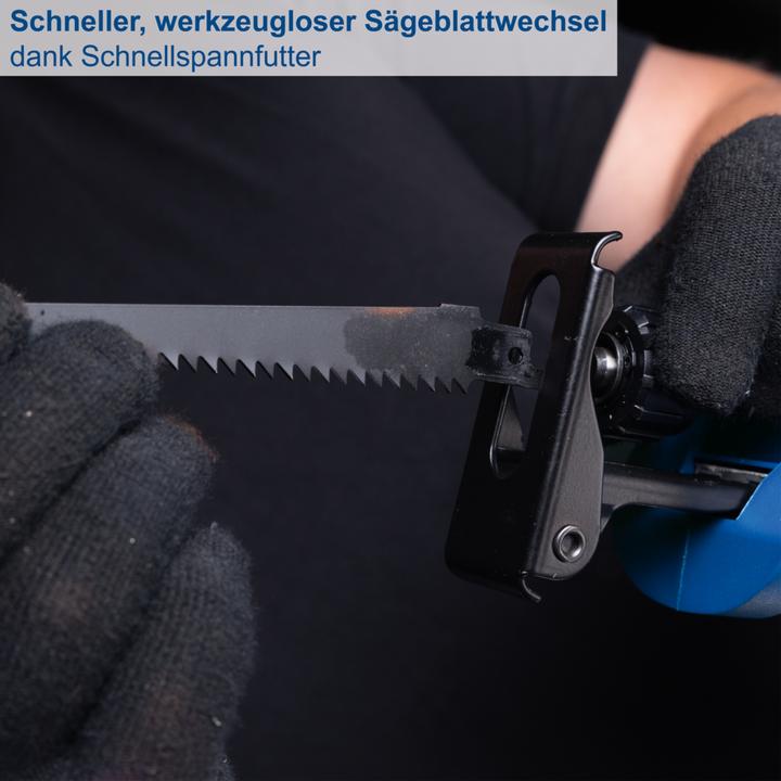 Immagine prodotto Scheppach BC-RS250-X sega alternativa a batteria (fai da te)