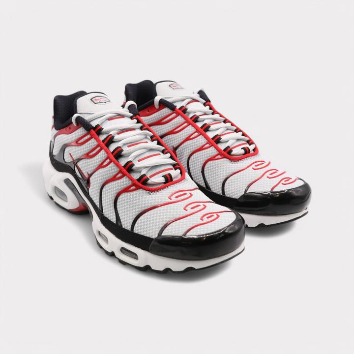 Image du produit Nike Air Max Plus (45.5)