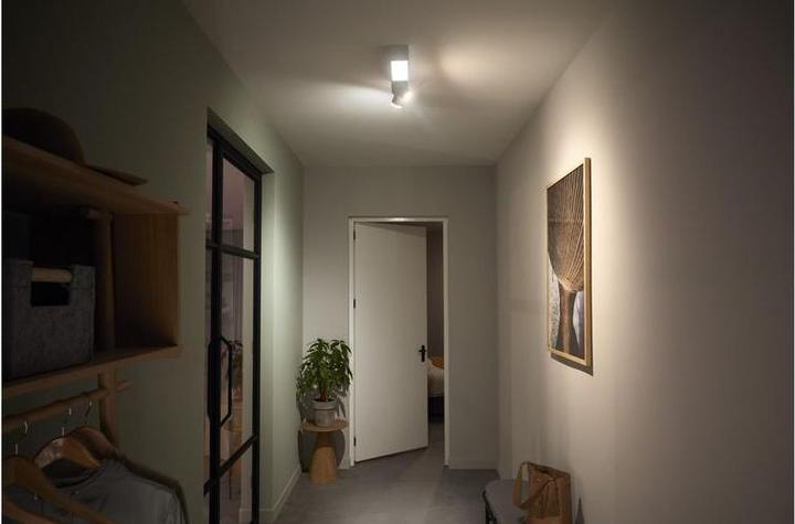 Actual product image Philips Centris (1410 lm, GU10)