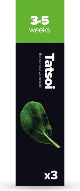 Immagine prodotto Plantui Tatsoi (Semi di verdura)