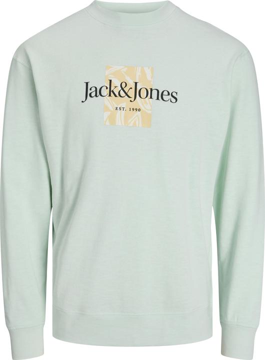 Jack & Jones Jorlafayette Branding Sweat Crew Mni