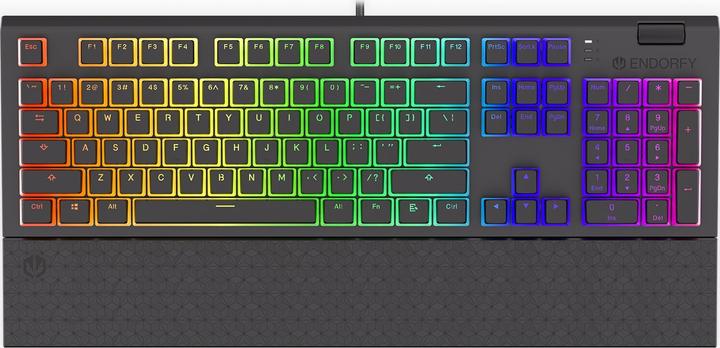 Actual product image Endorfy Omnis keyboard USB QWERTY Black (Eng. Int., Cable)