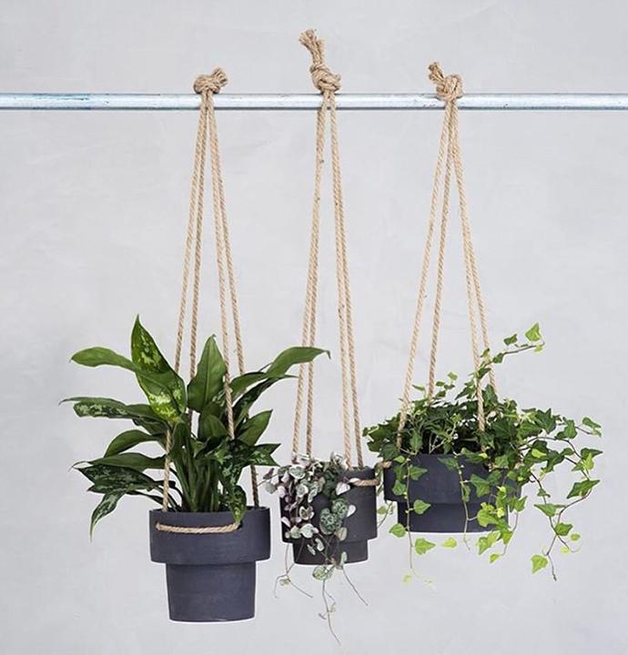 Immagine prodotto Ferm Living appendino per piante (21.50 cm)