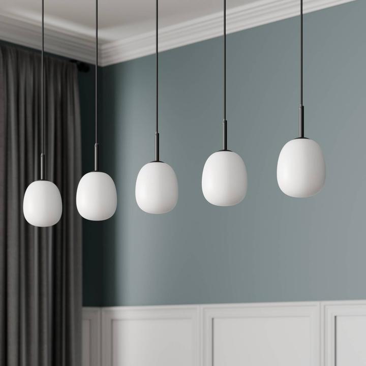 Image du produit Lindby Etiena 5 Lampe à suspension opale/noire (G9)