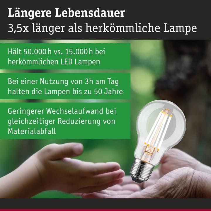 Actual product image Paulmann AGL Eco-Line (E27, 4 W, 806 lm, 1 x, B)
