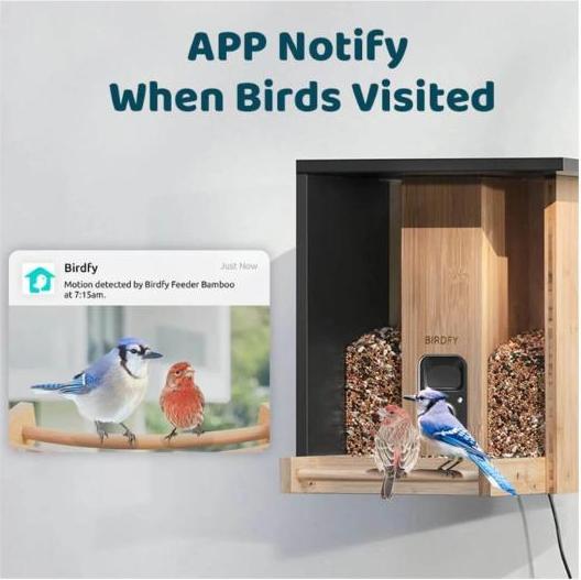 Actual product image Birdfy Feeder Bamboo AI by Subscription + Solar Panel