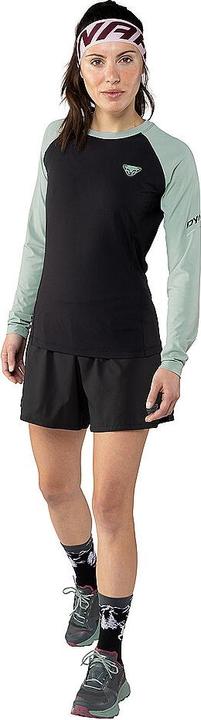 Produktbild Dynafit Alpine Pro Langarmshirt (40, L)