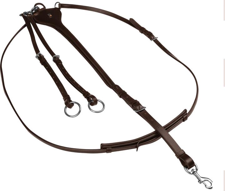 Actual product image Waldhausen X-Line Professional