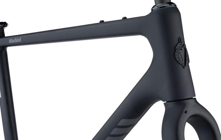 Actual product image Salsa Warbird Carbon Frame Set, 650B/700C, 57.5cm, black