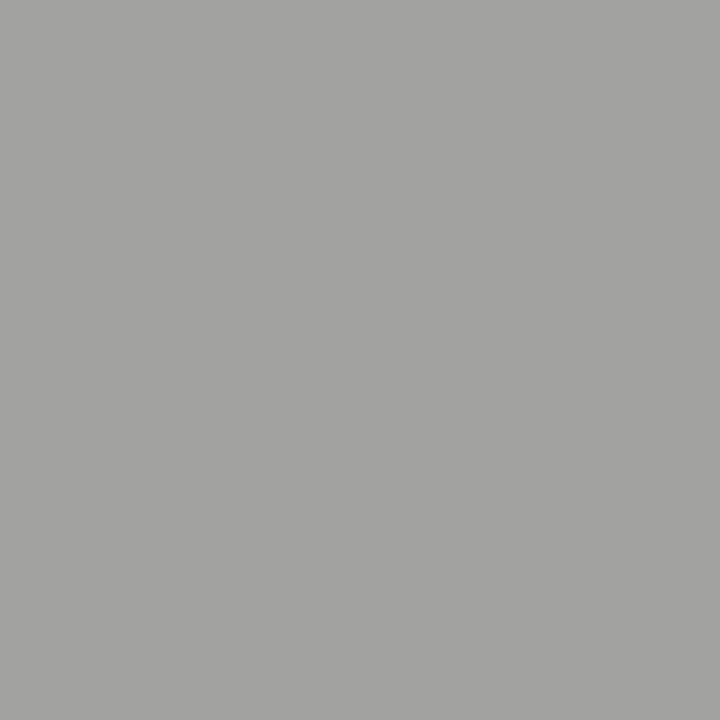 Actual product image Folia Bringmann poster board 48x68cm 10 sheets grey,380g (380 g/m², 10 x)