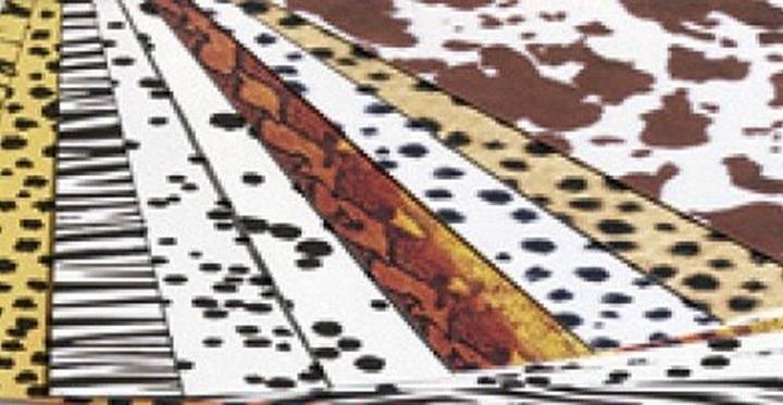 MFP Paper Karton mit Tiermotiven 25x35cm 8 Blatt (8 x)