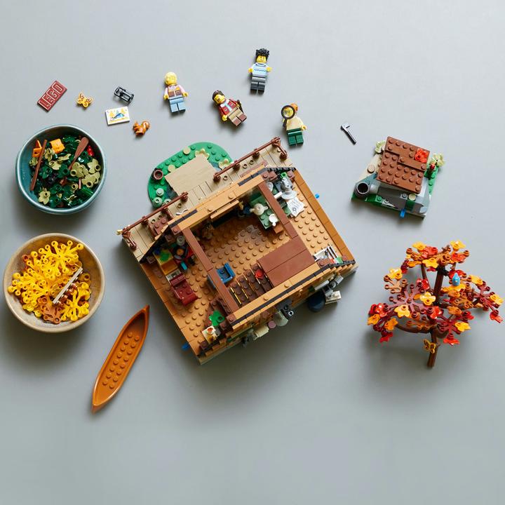 Actual product image LEGO Ideas Finn Cottage 21338 (21338, LEGO Ideas, LEGO Rare Sets)