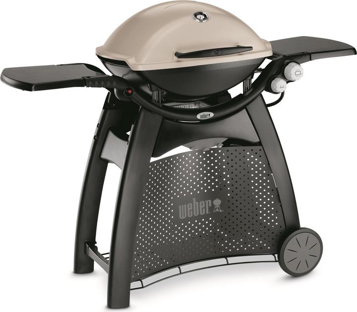 Weber Q 3000 (6.30 kW)