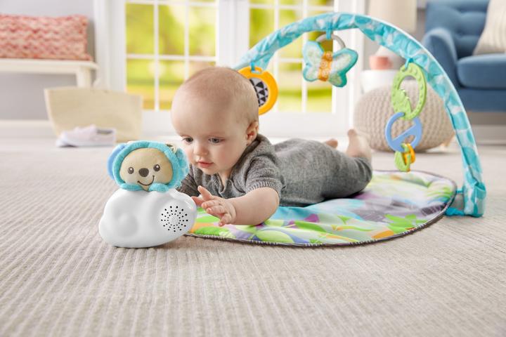 Produktbild Fisher-Price Butterfly Dreams Musikalisches Spielgerät