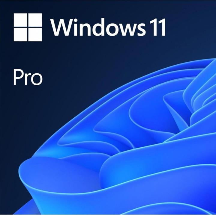 Microsoft Windows 11 Pro (ENG) (1 User, unbegrenzt)