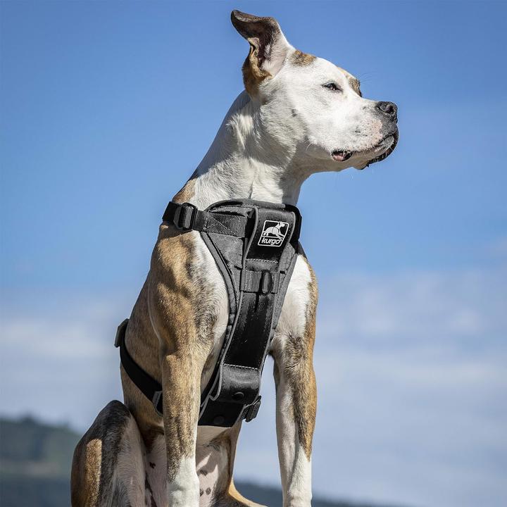 Produktbild Kurgo Tru-Fit Smart Hundegeschirr (S, Hund, Hundesport, Jogging, Allgemein, Spazieren)