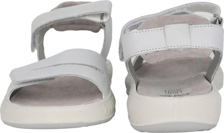 Actual product image Ara Avio-S (40)