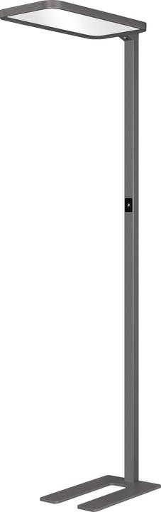 Hansa Stehleuchte Saphir LED Anthrazit (7500 lm)