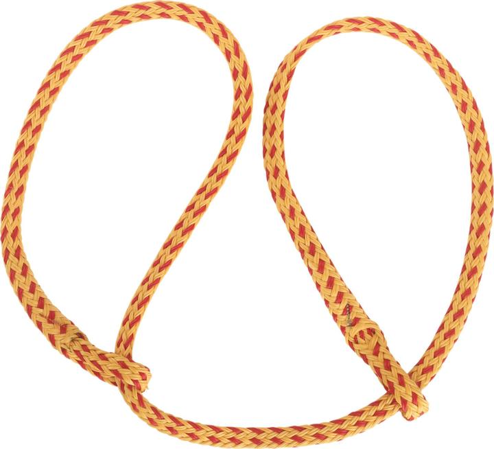 Image du produit Kerbl Corde de naissance Poly/plat jaune-rouge, avec deux boucles