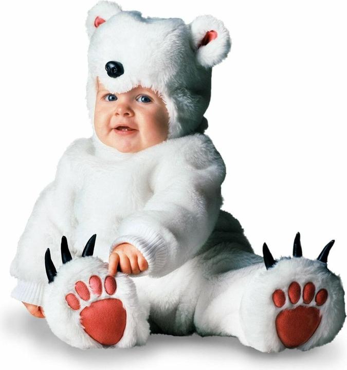 Tom Arma Eisbär