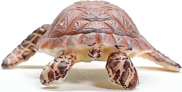 Produktbild Schleich Echte Karettschildkröte