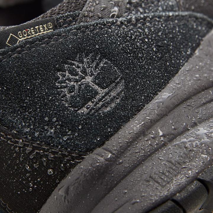 Actual product image Timberland Sadler Pass F/L Low GTX Shoes (44)