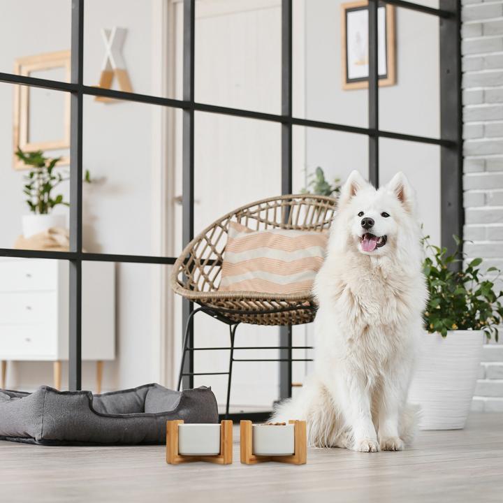 Actual product image Relaxdays Lama wall clock (29.50 cm)
