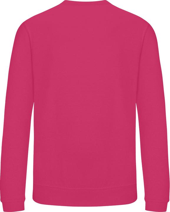 Image du produit Awdis - Sweat JUST HOODS - Enfant (116)